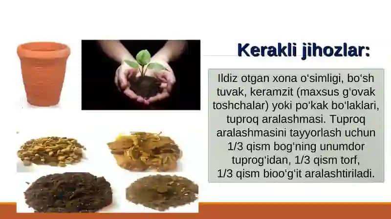 BIOLOGIYA 5-sinf MUSTAHKAMLASH 4