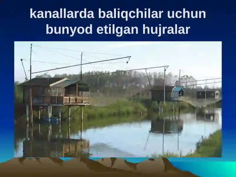 O`ZBЕKISTОNNING TRАNSCHЕGАRАVIY EKОLОGIK MUАMMОLАRI VА ULАRNI HАL ETISH YO`NАLISHIDАGI SА`Y-HАRАKАTLАR 4