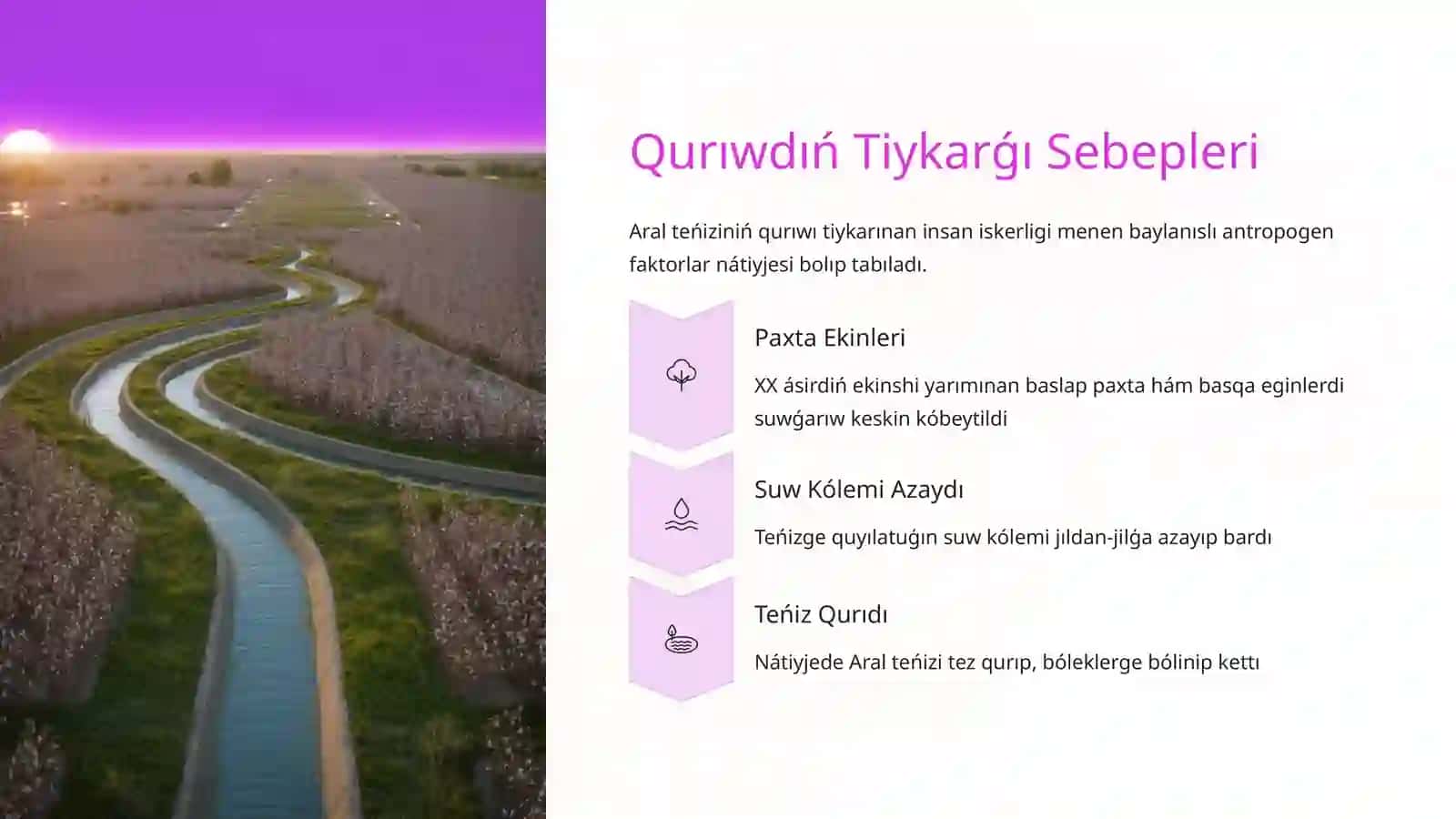Aral mashqalası 4