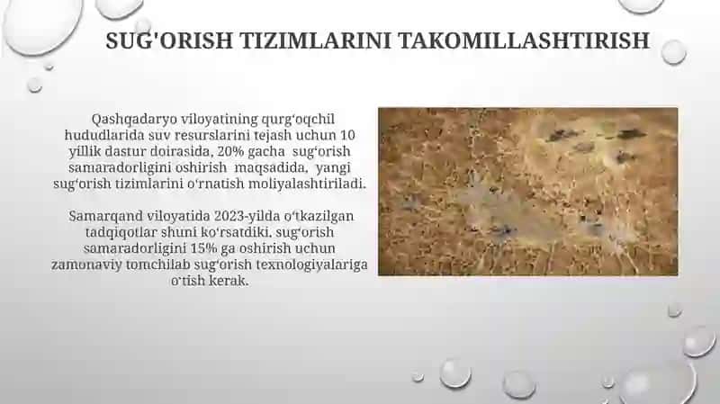 Tuproq resurslari va ularning muhofazasi 4