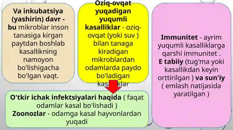 Yuqumli kasalliklar va ularning oldini olish 4