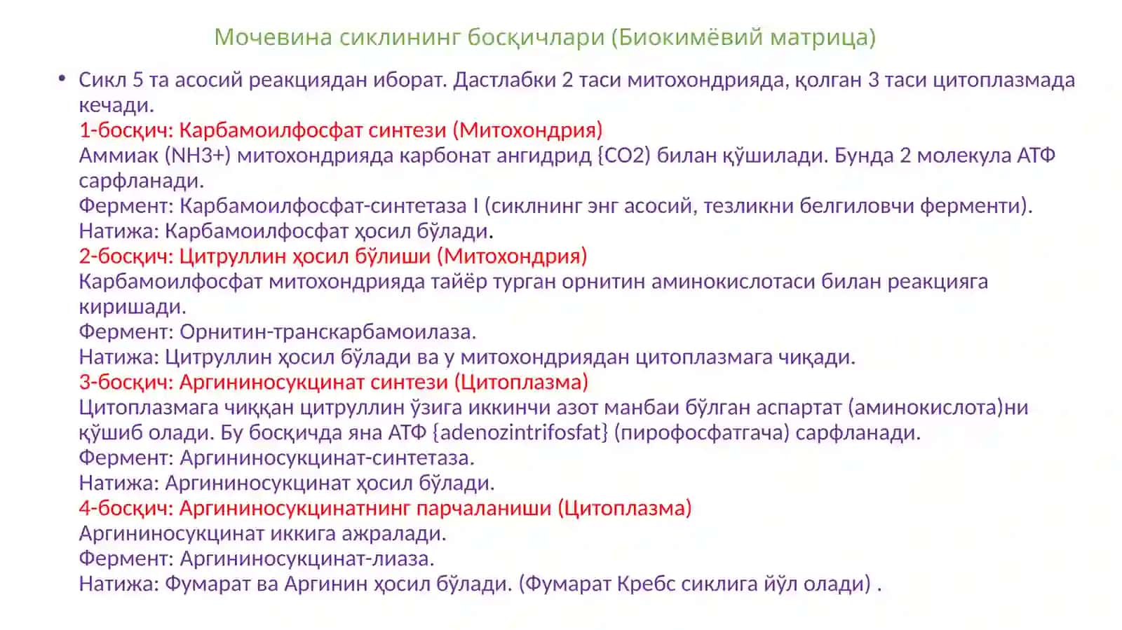 Mochevina Sikli 4