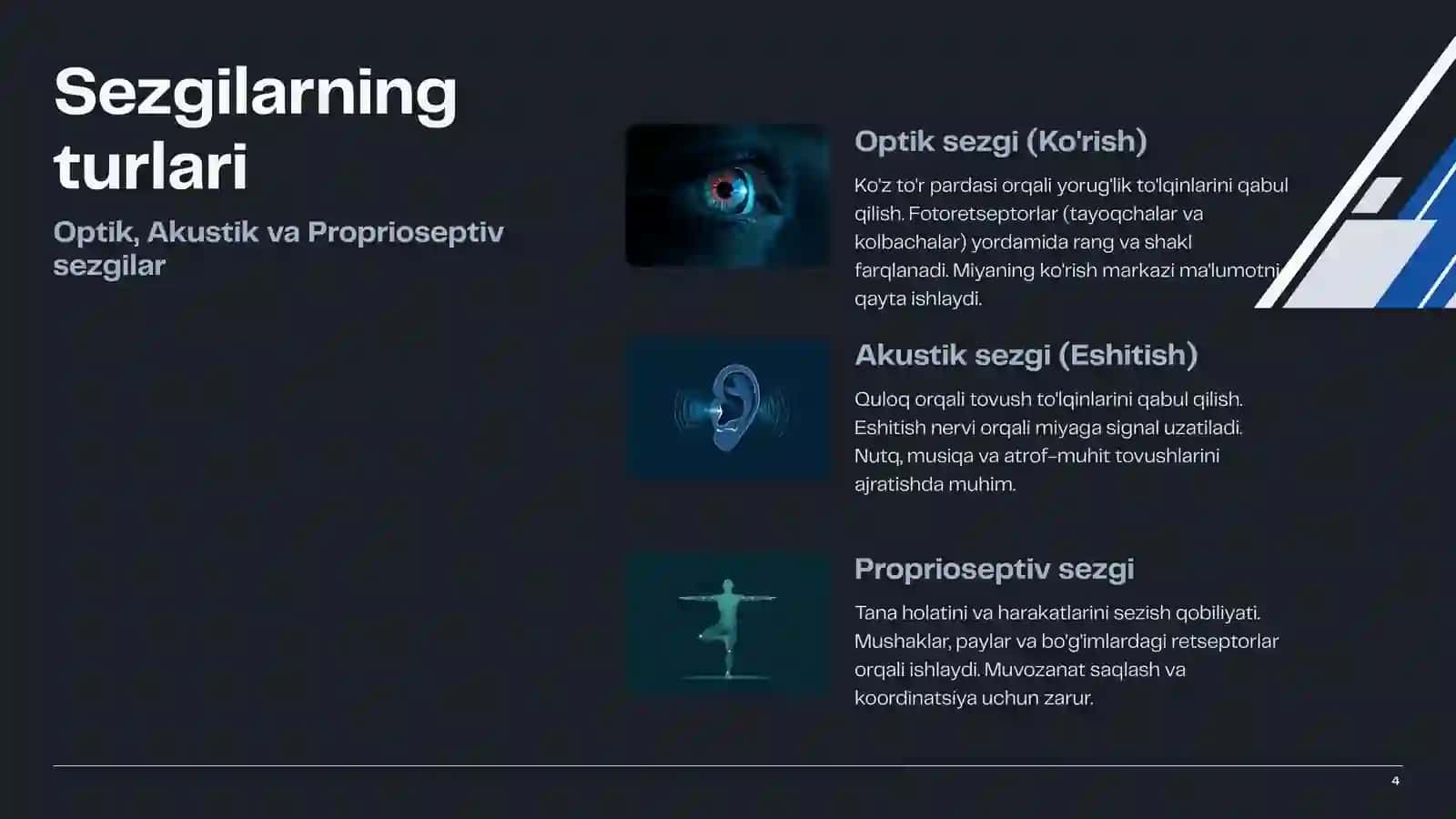 Sezgilar haqida umumiy tushuncha va uning nerv-fiziologik asoslari 4