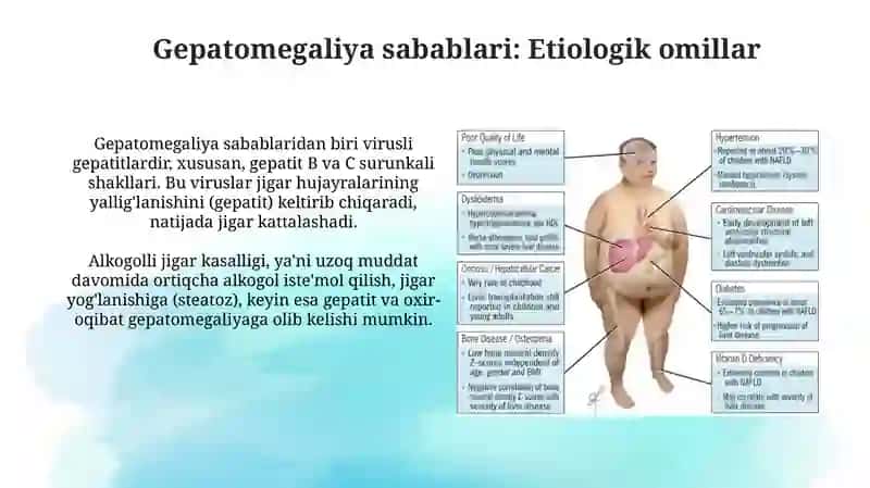 Gepatomegaliya va kasalliklar 4