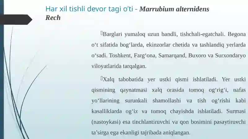 Yalpizdoshlar oilasining dorivor vakillari 4