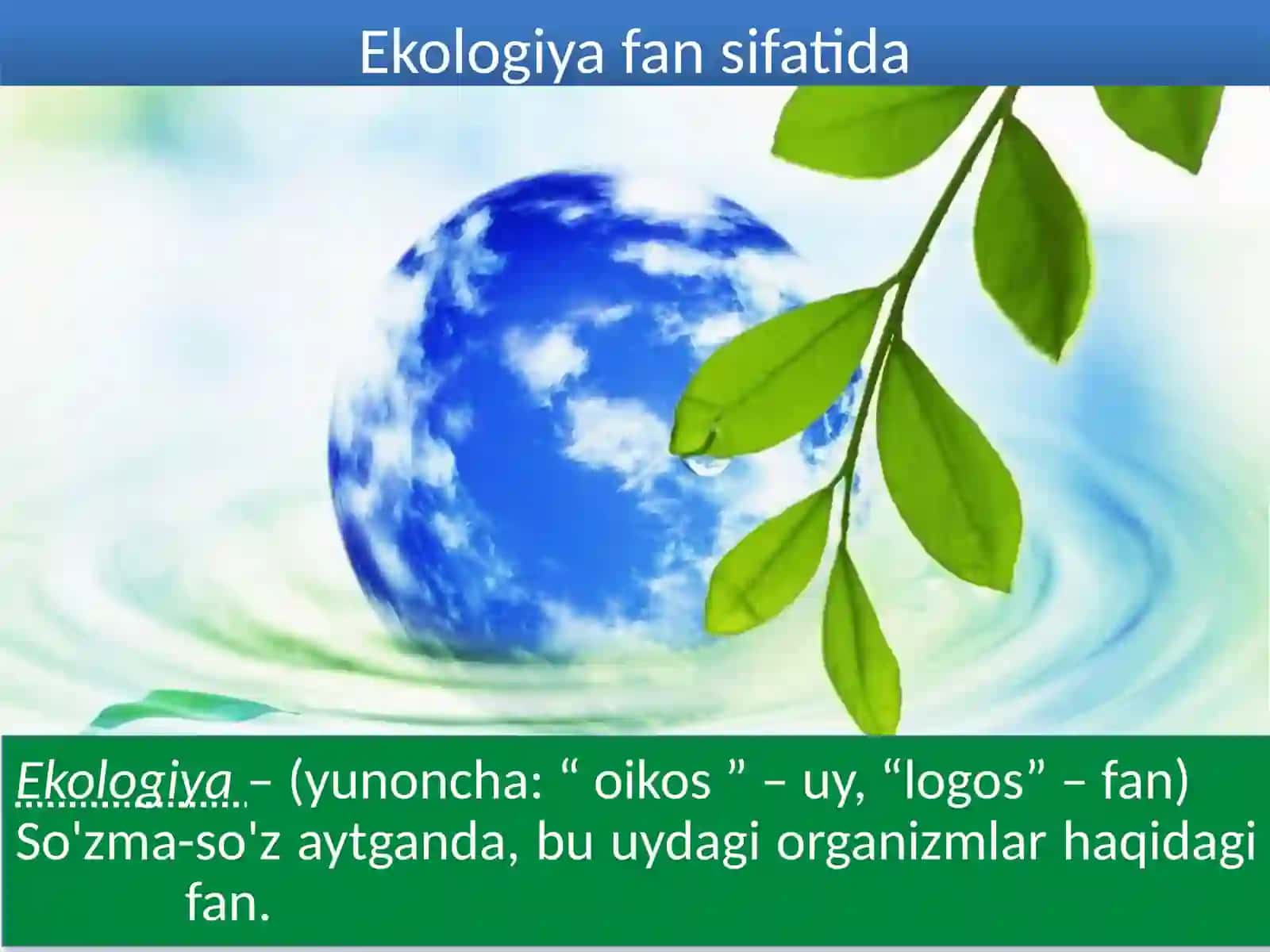 Ekologiya va tabiiy resurslardan oqilona foydalanish 4
