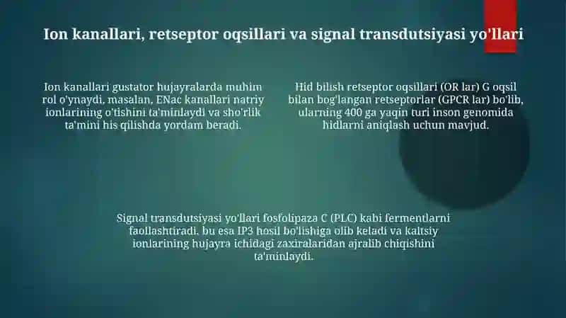 Ta'm va hid bilish nazariyasining biofizikaviy asoslari 4