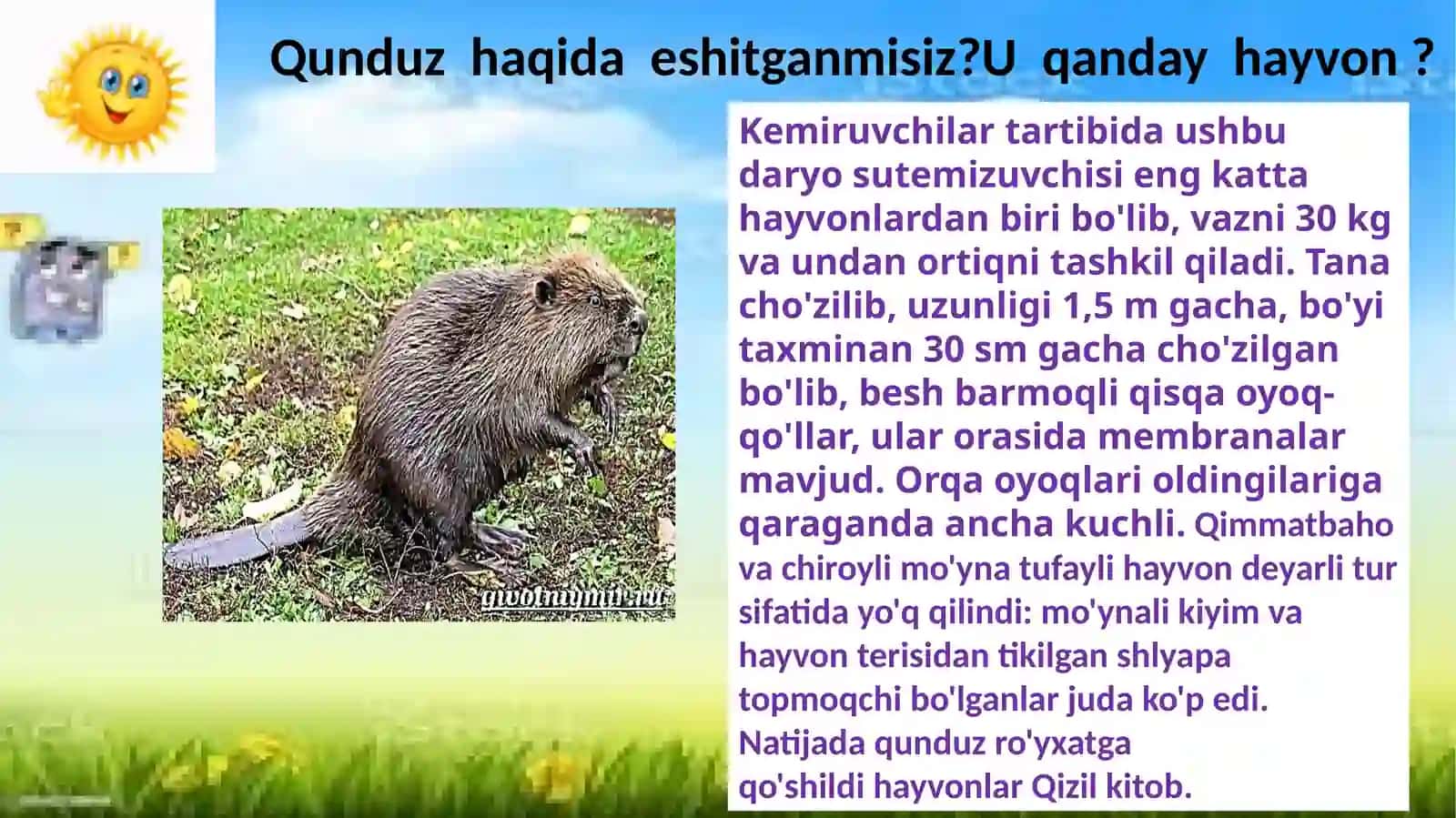 Quyosh – quvvat manbai 4