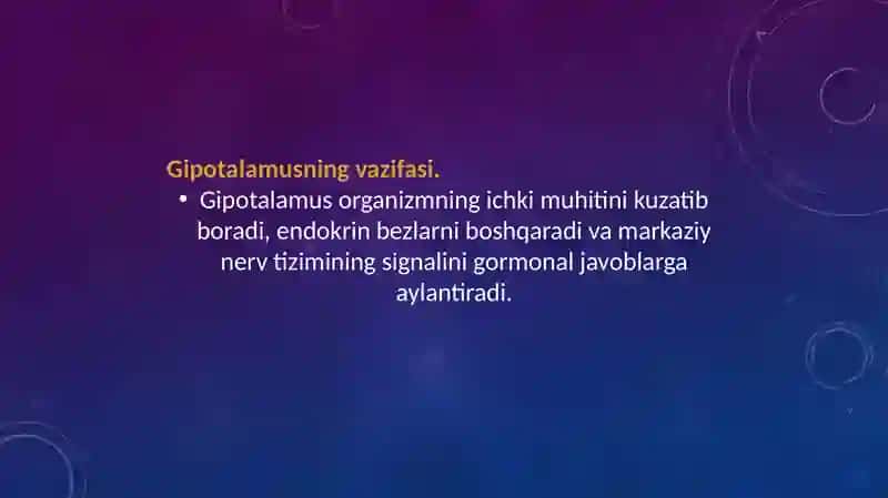 Neyroendokrintizimining struktur va funksional tavsifi 4