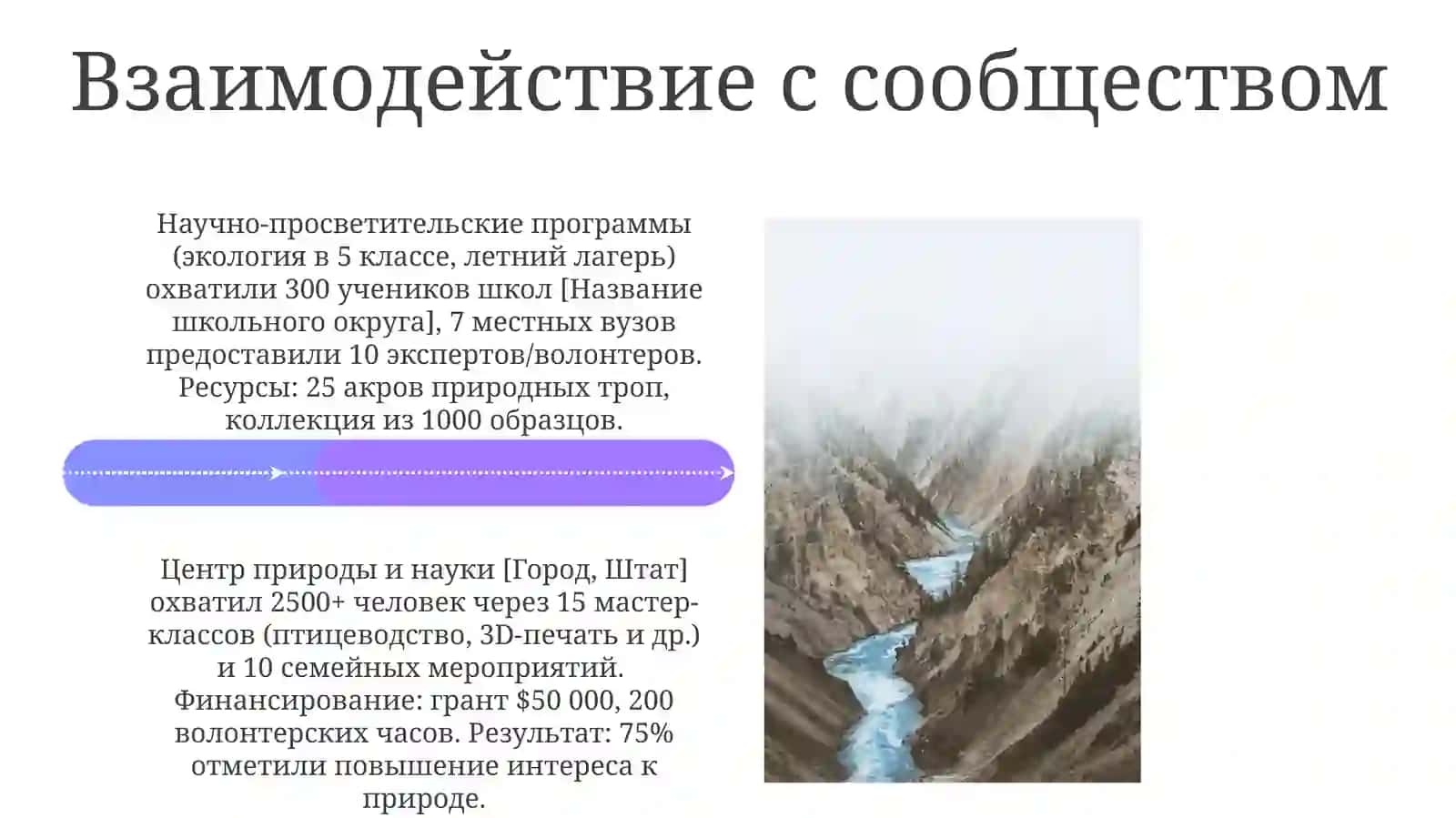 Выставки и программы 4