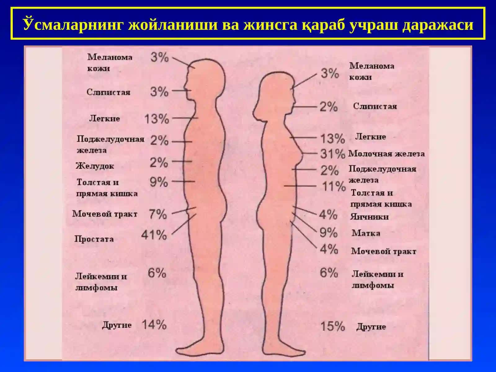 ПАТОЛОГИК АНАТОМИЯ 10- маъруза 4