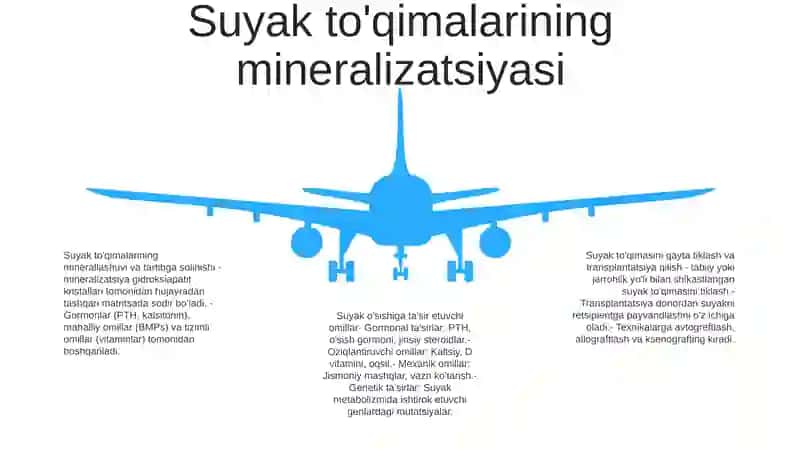 Suyak To'Qimasi Minerallashuvi, Uning Tartibga Solinishi Va Buzilishi 4