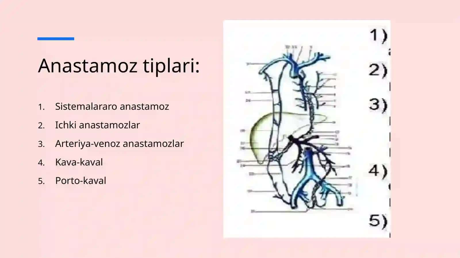 anastamozlar 4