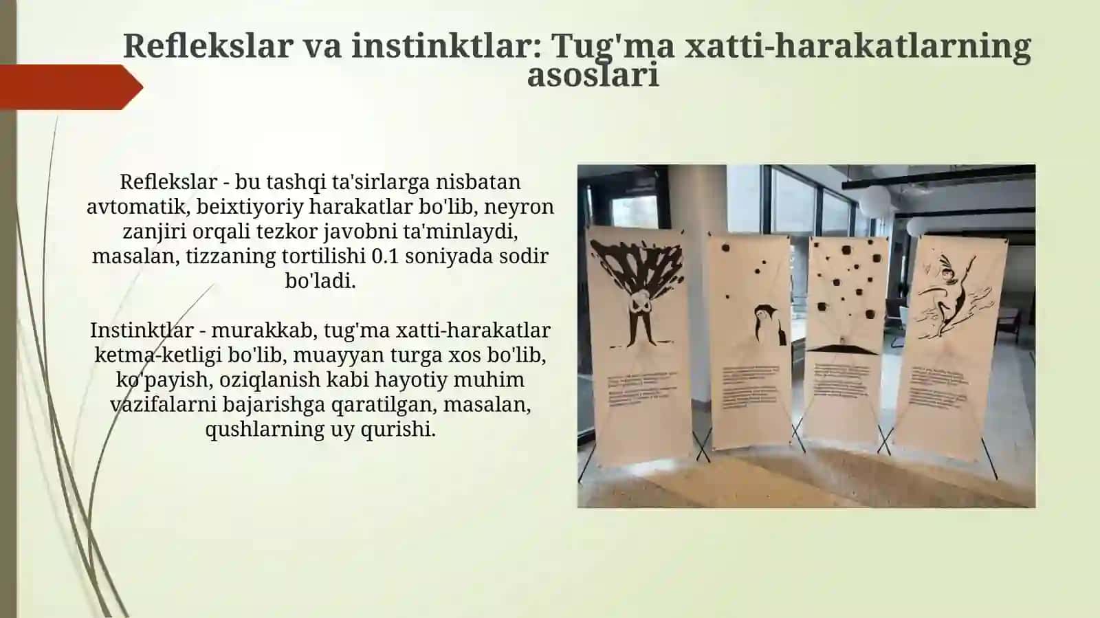 Tug‘mavaindividualxattiharakatlar 4
