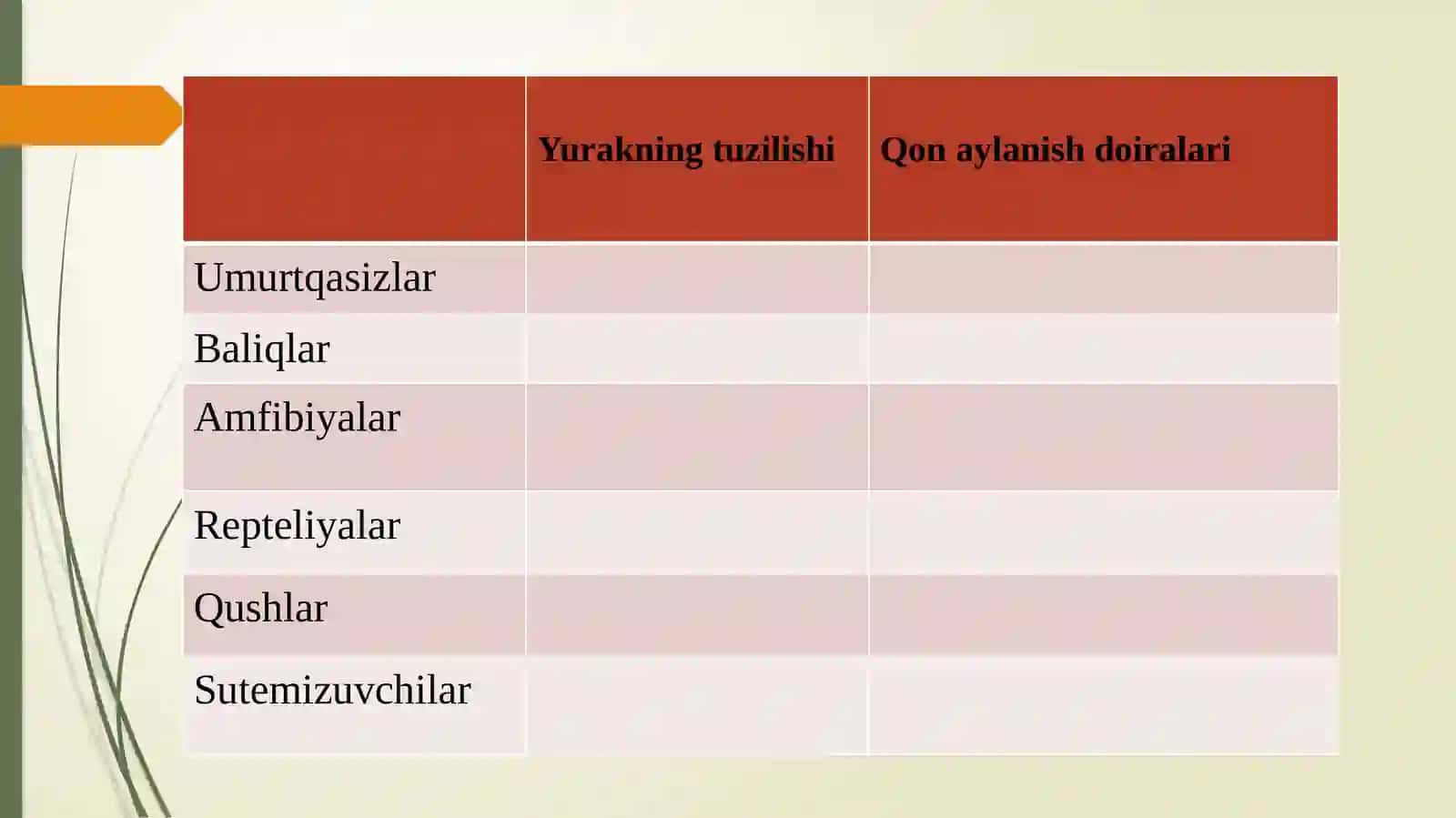 Hayvonlarning qon aylanish organlari evolutsiyasi 4