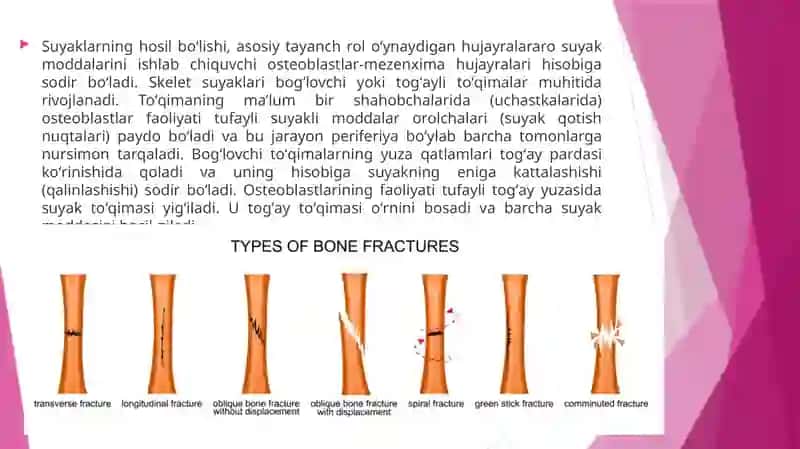 Yosh anatomiyasi, fiziologiyasi va gigiyena 4