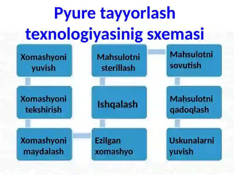 Meva va sabzavotlardan pyure ishlab chiqarish biotexnologiyasi 4
