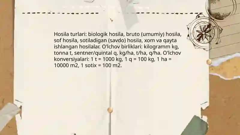 Hosila 4
