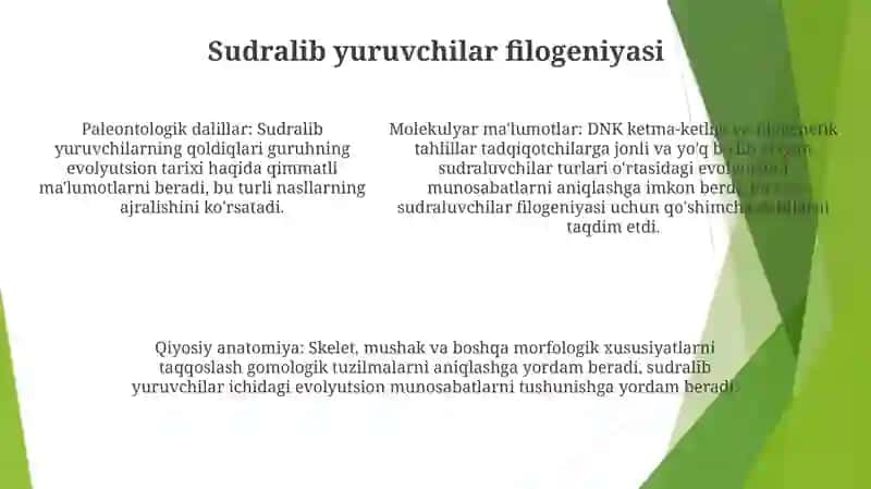 Reptiliyalarning Sistematikasi 4