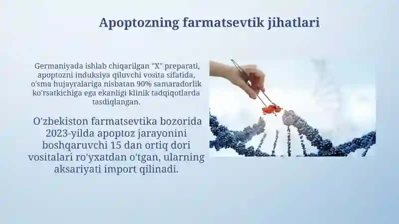 Hujayra apoptozi va uning biologik ahamiyati jarayonining boshqariluvi 4