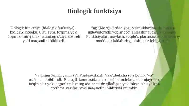 Oila Va Uning Funksiyalari 4