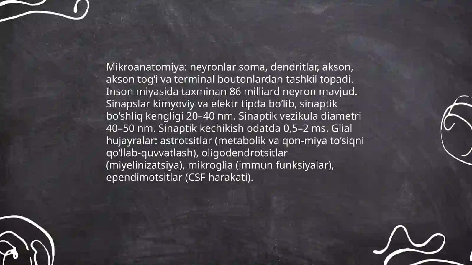 Inson bosh miya anatomiyasi, fiziologiya va patalogiyasi 4