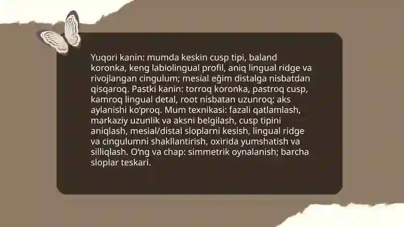 Yuqori va pastki jagʻ tishlarning anatomik shakllari 4