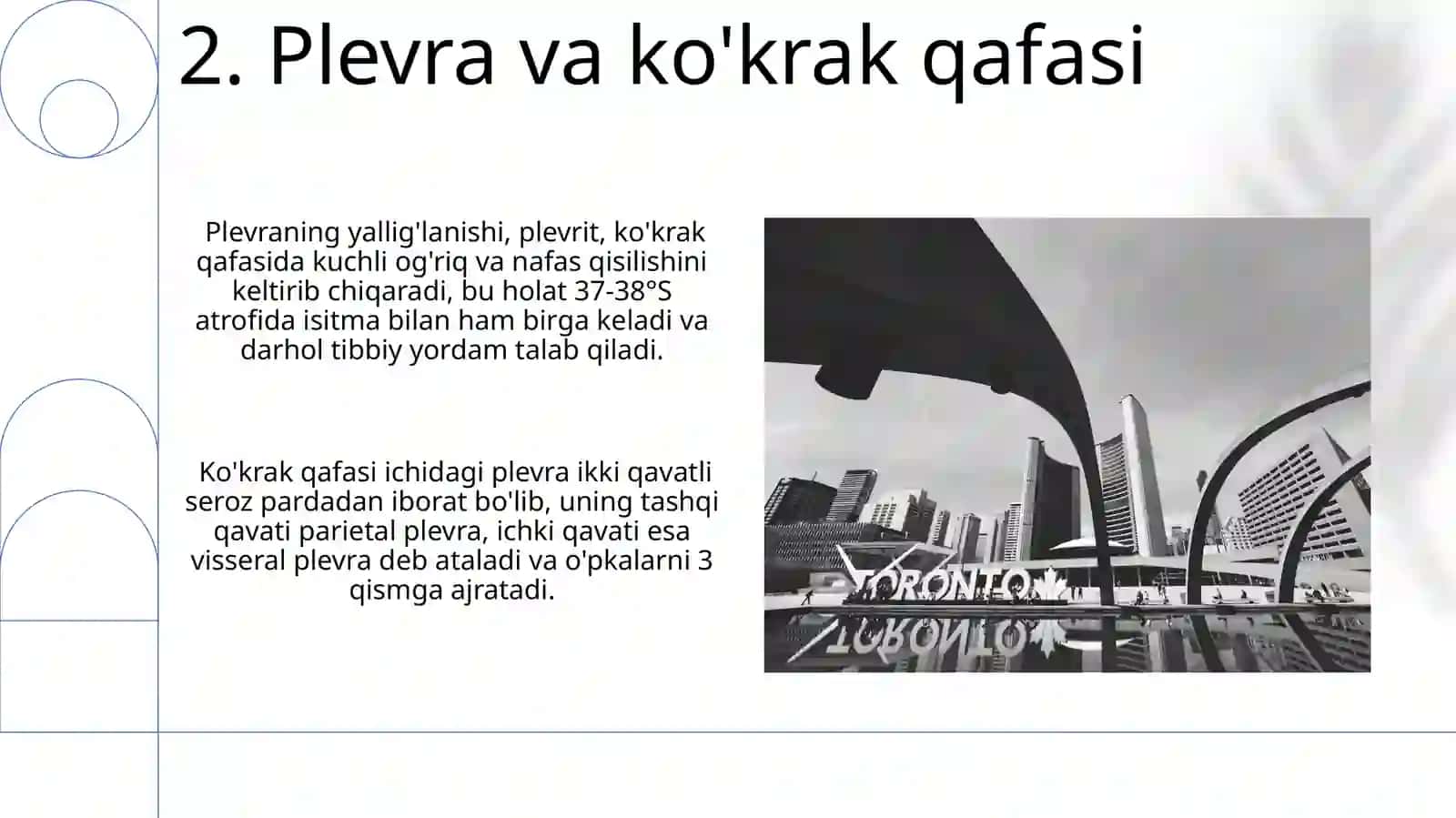 Nafas yo'llariga kiruvchi a'zolarni tuzilizishi joylashishi 4