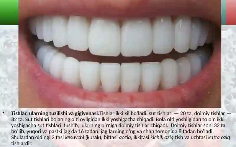 Ovqat hazm qilish organlarining tuzilishi va vazifasi 4