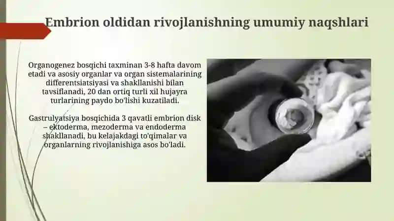 Proembironal rivojlanishning umumiy qonuniyatlari prohenezi 4