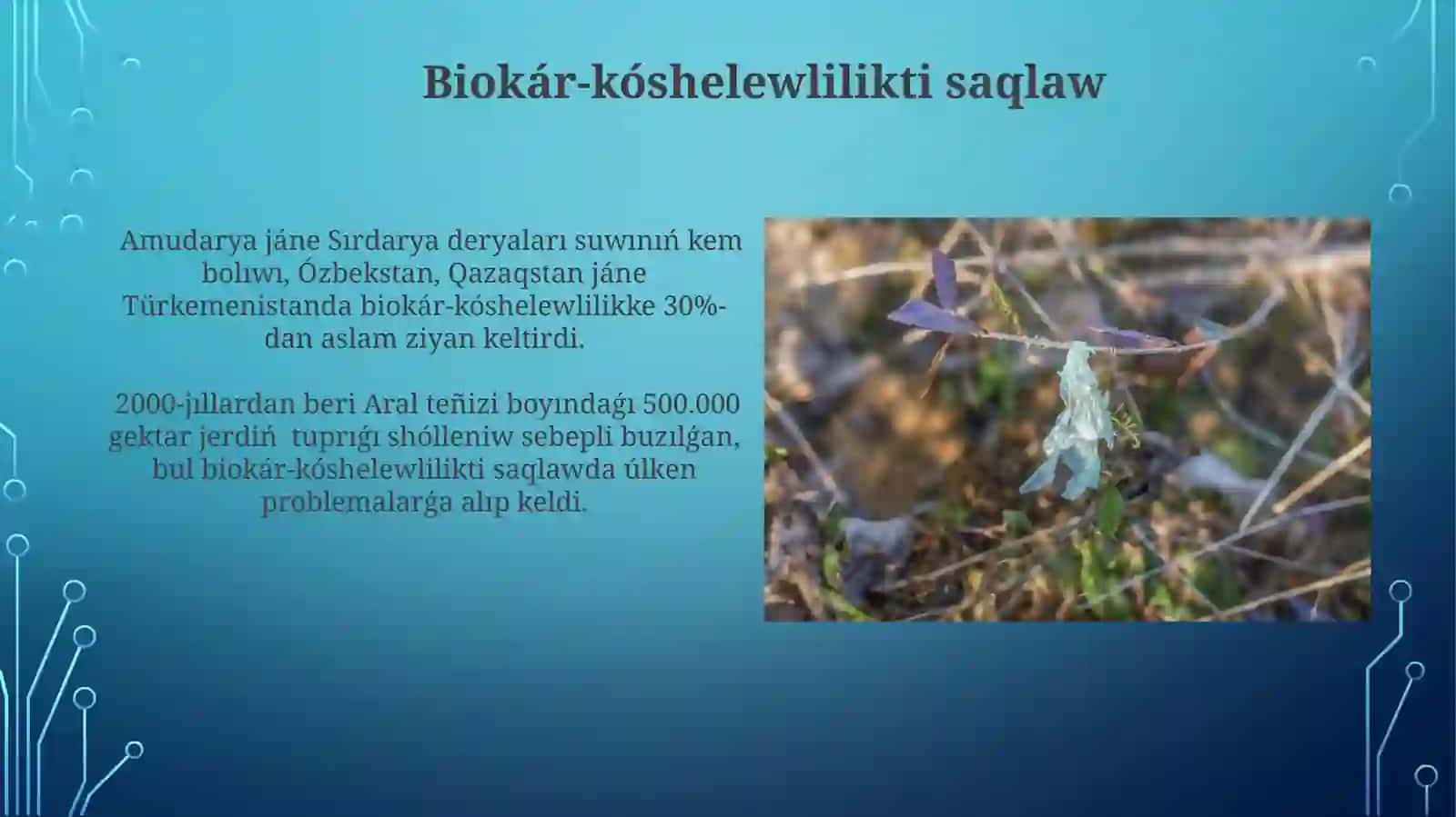 Antropogenfaktorlardiňbiosferağaziyanlitasirinazaytiw 4