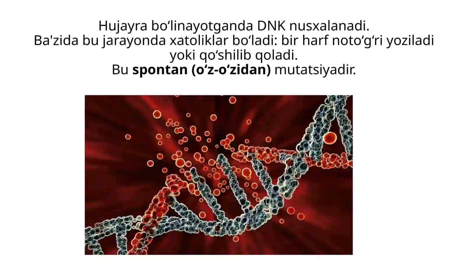 9-Bsinfo’quvchisiShomurodovBehruz 4