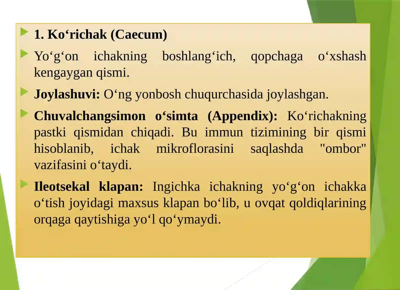 YO‘G‘ON ICHAK QISMLARI 4