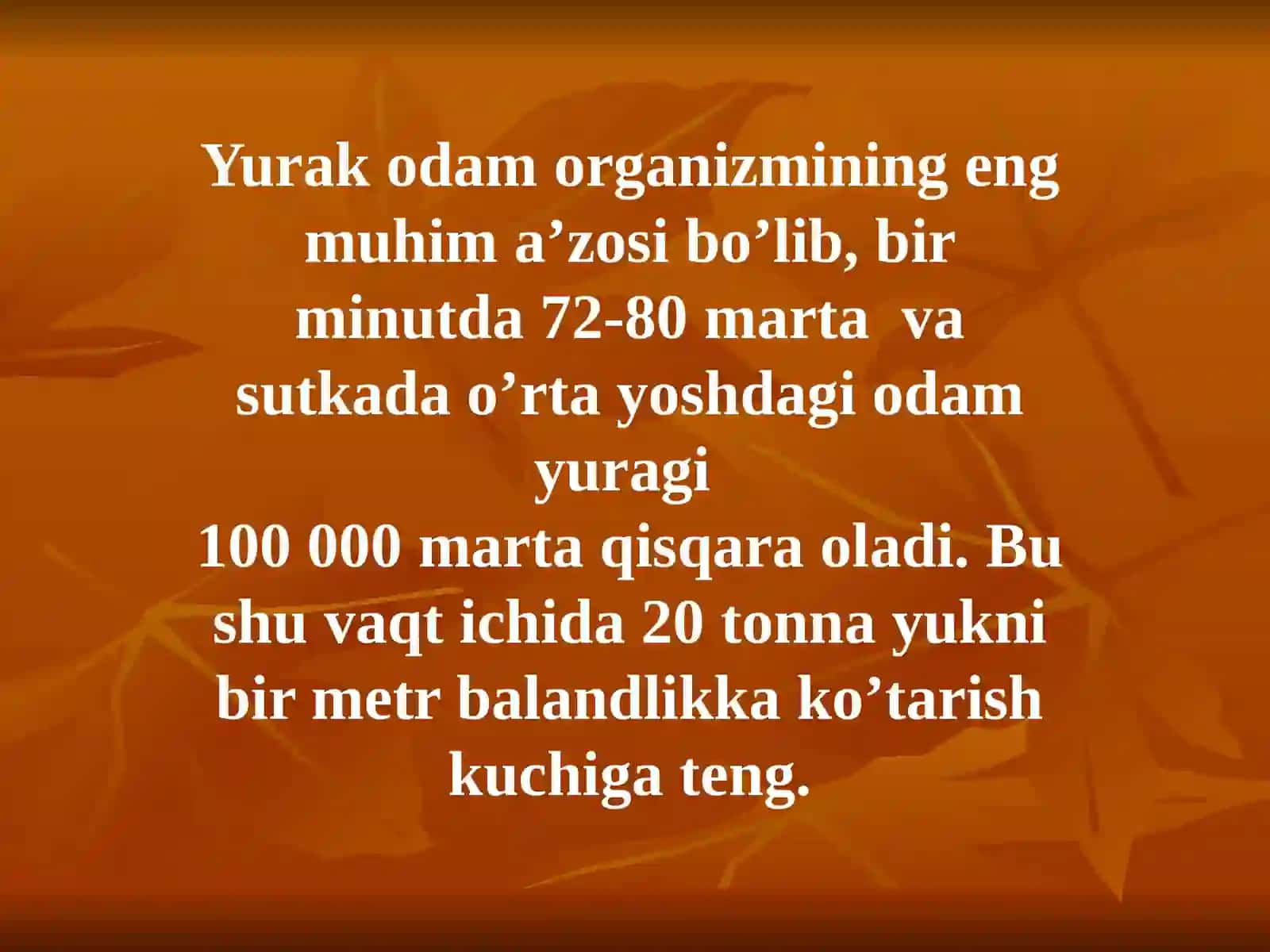 YURAK ANATOMIYASI 4