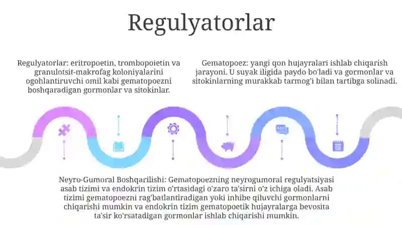 Gemositopoez.Gemositopoezni Neyro-Gumoral Boshqarilishi 4