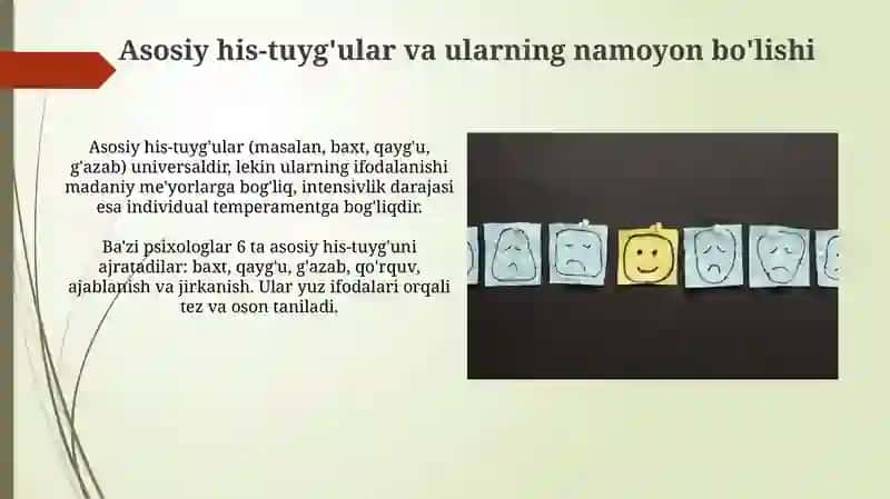 Tuyg'ularning xilmaxilligi 4