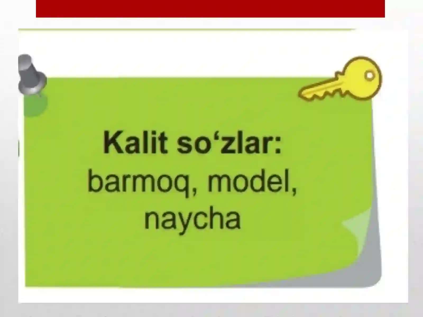 Odam Organlari Qanday Ishlaydi? 4