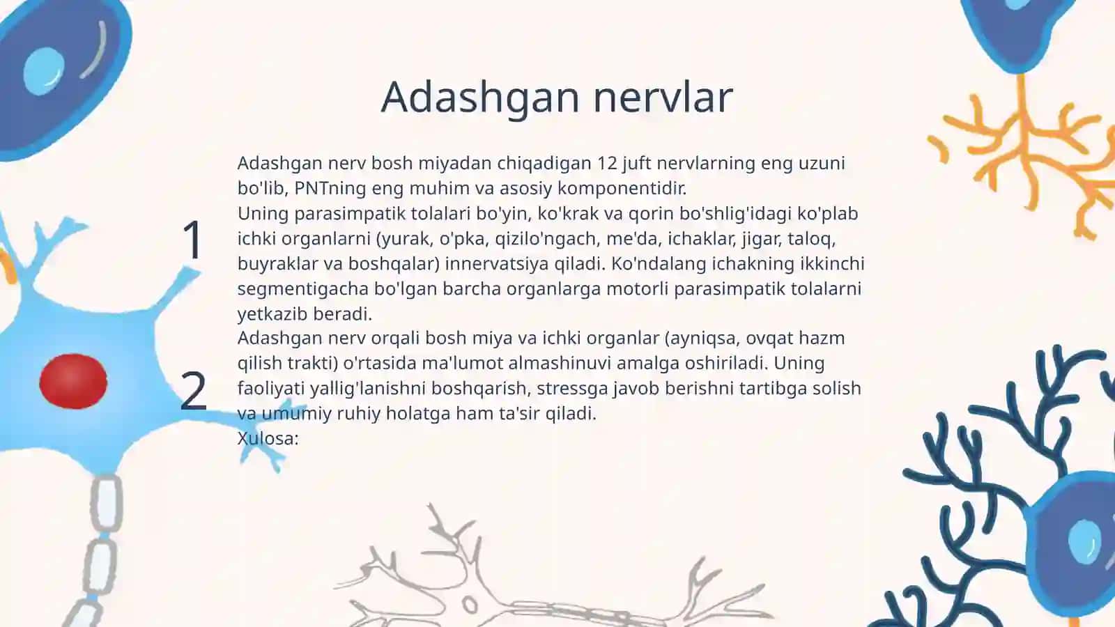 Parasimpatik nerv tizimi (PNT) 4
