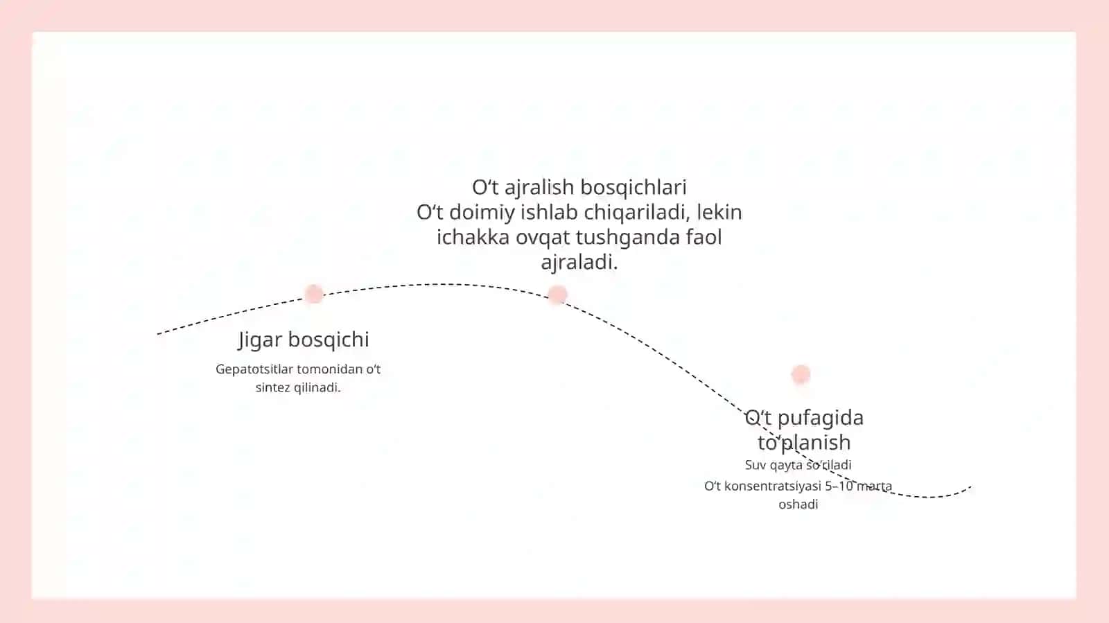 Jigarning hazm jarayonidagi roli va o‘t (safro) ajralish fiziologiyasi 4