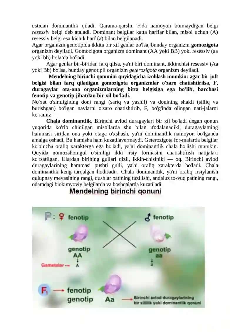 9-sinf biologiya darslarida’’Belgilarning irsiylanishi’’ mavzusini o’qitishda media manbalardan foydalanish 4