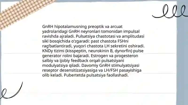 Jinsiy siklning gormanal boshqariluv mexanizmi 4