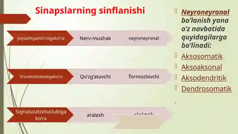 Sinapslarning turlimoddalargasezgirligi 4