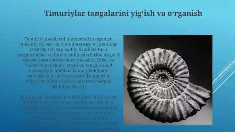 Temuriylar davri tangashinosligi 4