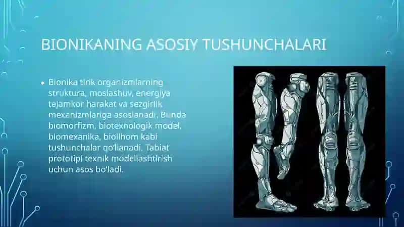 Biofizika - Bionika asoslari va uning inson hayotidagi oʻrni (11 slayd PPT) 4