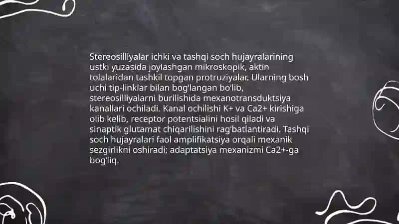 Eshitishning sitologik mexanizmlari. Vibratsiyaning eshitish va muvozanat organlari tuzilishiga taʼsiri Normatov Ibrat 4