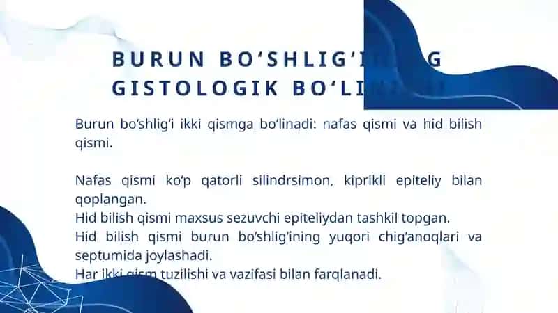 HID BILISH ORGANINING TUZILISHI VA UNING REGENERATSIYA QILISH XUSUSIYATLARI 4