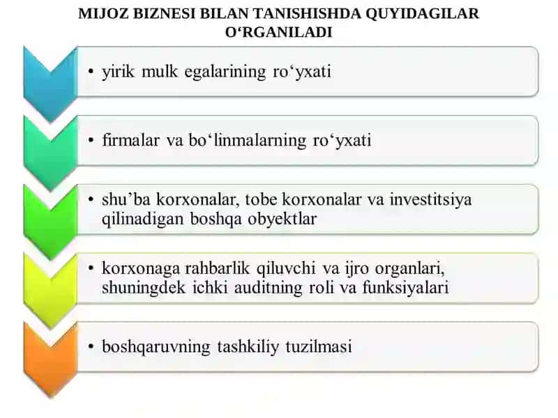 AUDITORLIK TEKSHIRUVI VAQTIDA BUXGALTERIYA HISOBI TIZIMINI VA ICHKI NAZORATNI OʻRGANISH HAMDA BAHOLASH 4