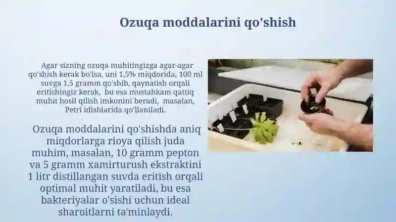 Mikroorganizmlarni o'stirish uchun oziqa muhitlari tayyorlash usullari 4