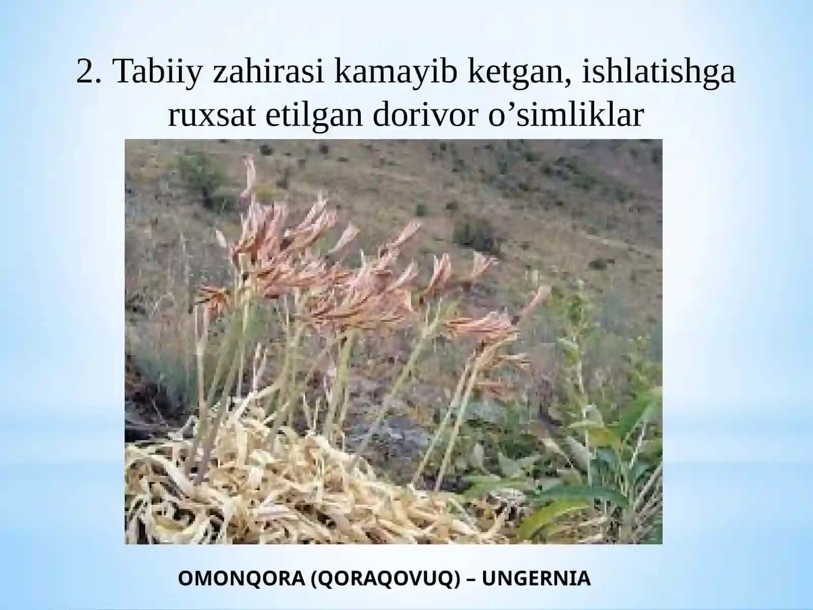Introduksiya usullari 4