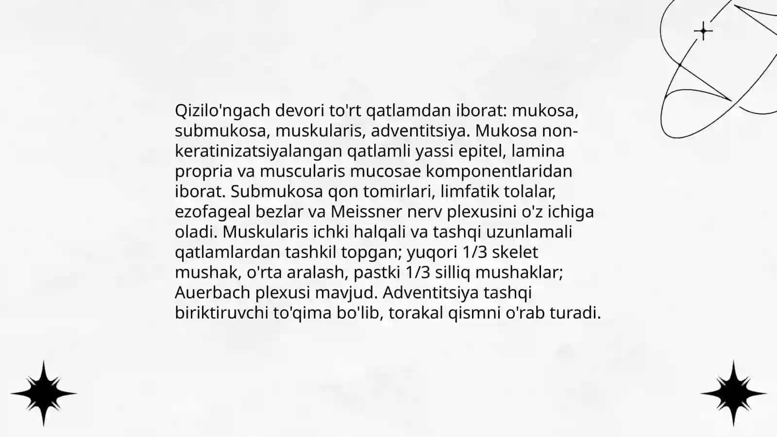 Qizilo'ngach, qorin bo‘shlig‘i a’zolari haqida umumiy ma’lumot 4